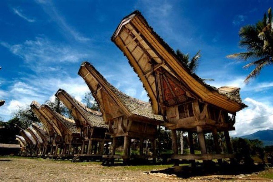 Detail Rumah Khas Toraja Nomer 35