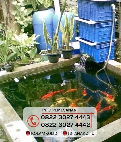 Detail Rumah Koi Jakarta Nomer 25