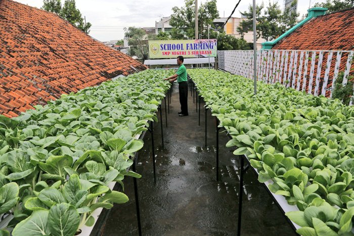 Detail Rumah Kompos Di Surabaya Nomer 20