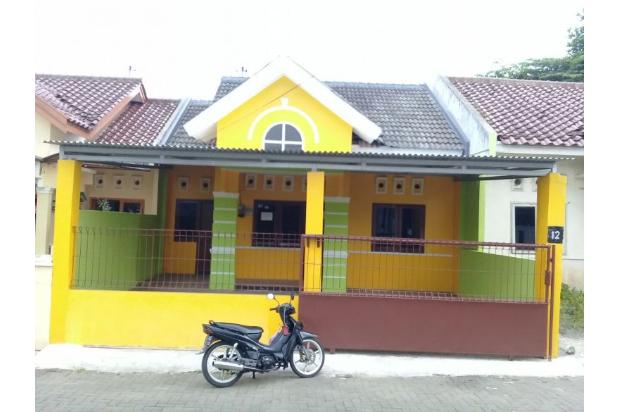 Detail Rumah Kontrak Purwokerto Nomer 44