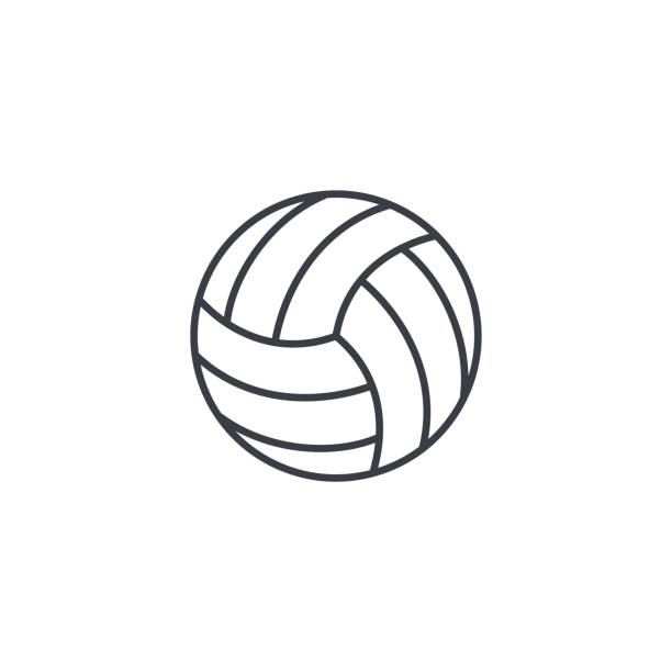 Detail Volleyball Ball Picture Nomer 35