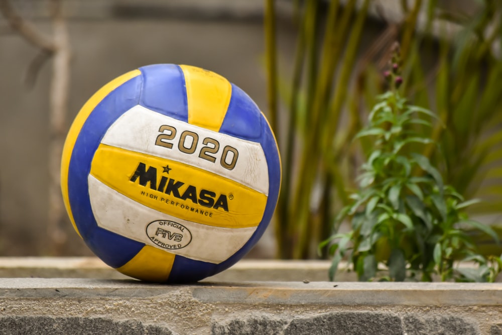 Detail Volleyball Ball Pictures Nomer 23