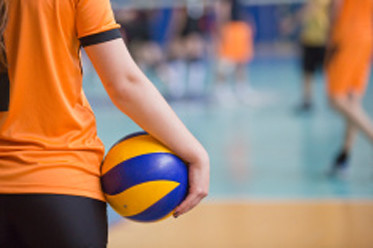 Detail Volleyball Ball Pictures Nomer 45