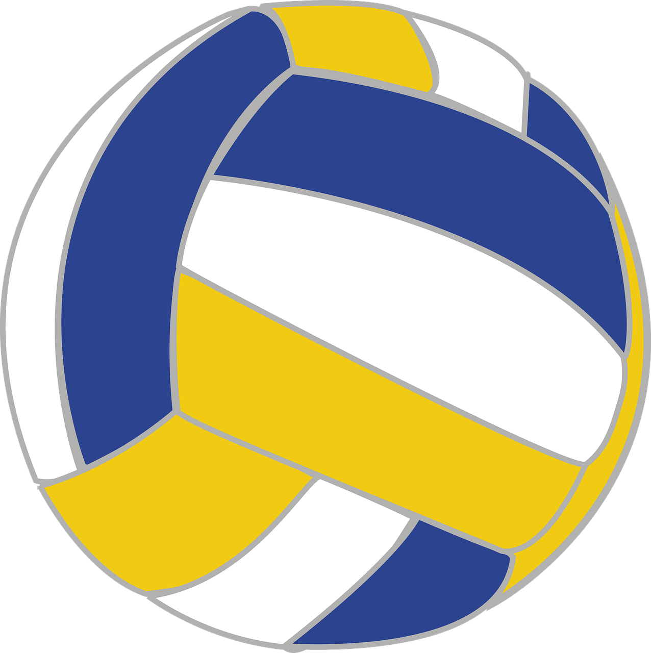Download Volleyball Ball Pictures Nomer 54