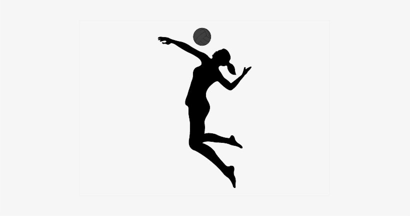 Detail Volleyball Png Images Nomer 49