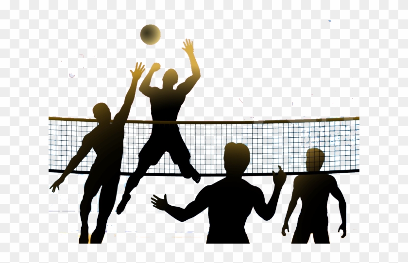 Detail Volleyball Vector Png Nomer 50