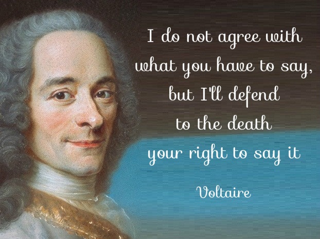 Detail Voltaire Quotes On Freedom Nomer 2