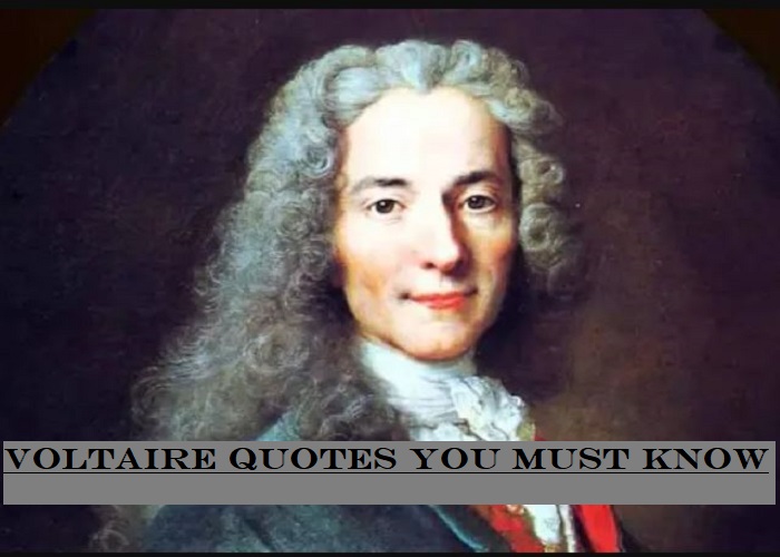 Detail Voltaire Quotes On Freedom Nomer 25