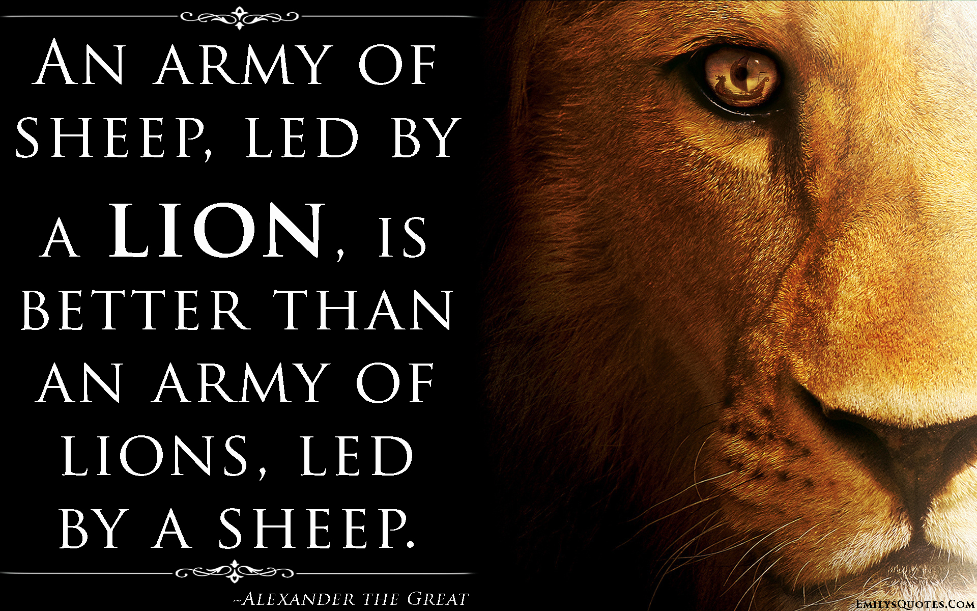 Detail Voyage Of The Dawn Treader Quotes Nomer 56