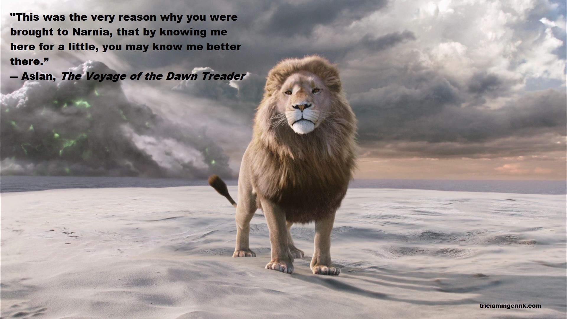 Detail Voyage Of The Dawn Treader Quotes Nomer 7