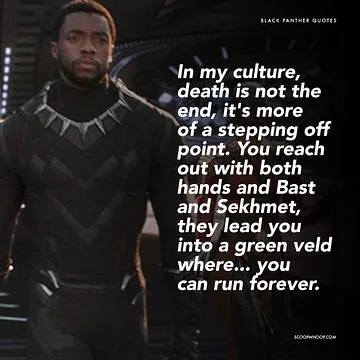 Detail Wakanda Forever Quotes Nomer 31