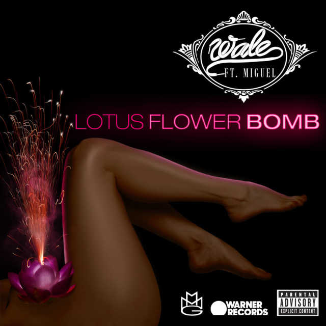 Detail Wale Flower Bomb Download Nomer 4