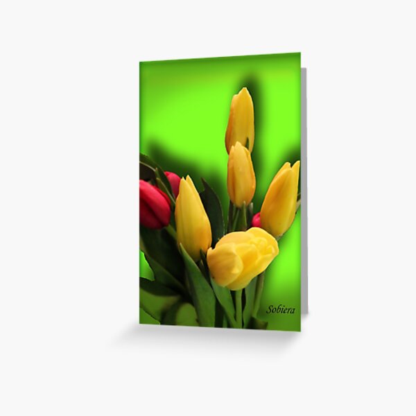 Detail Alles Gute Zum Geburtstag Tulpen Nomer 5