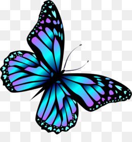 Detail Blutsaugender Schmetterling Nomer 11