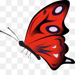 Detail Blutsaugender Schmetterling Nomer 2
