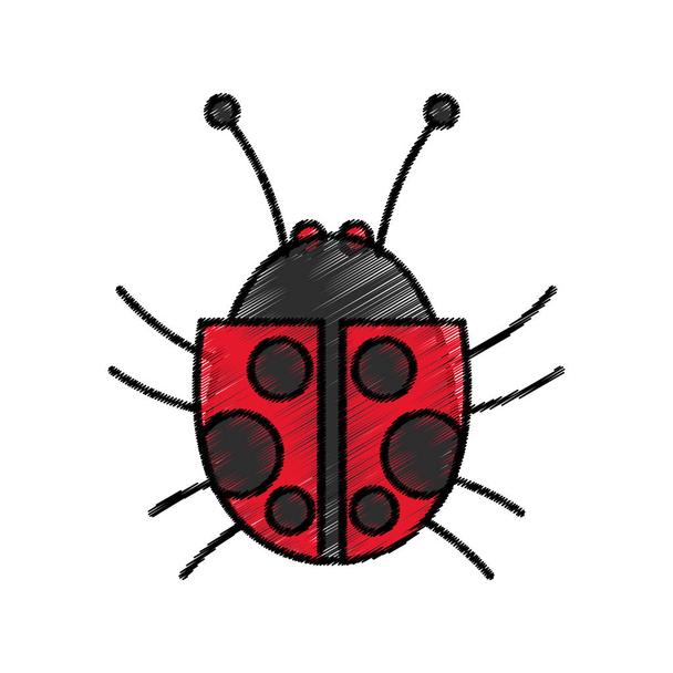 Detail Blutsaugender Schmetterling Nomer 18