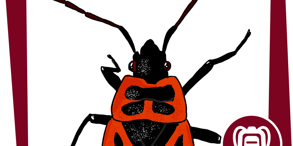 Detail Blutsaugender Schmetterling Nomer 7
