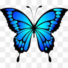 Detail Blutsaugender Schmetterling Nomer 8