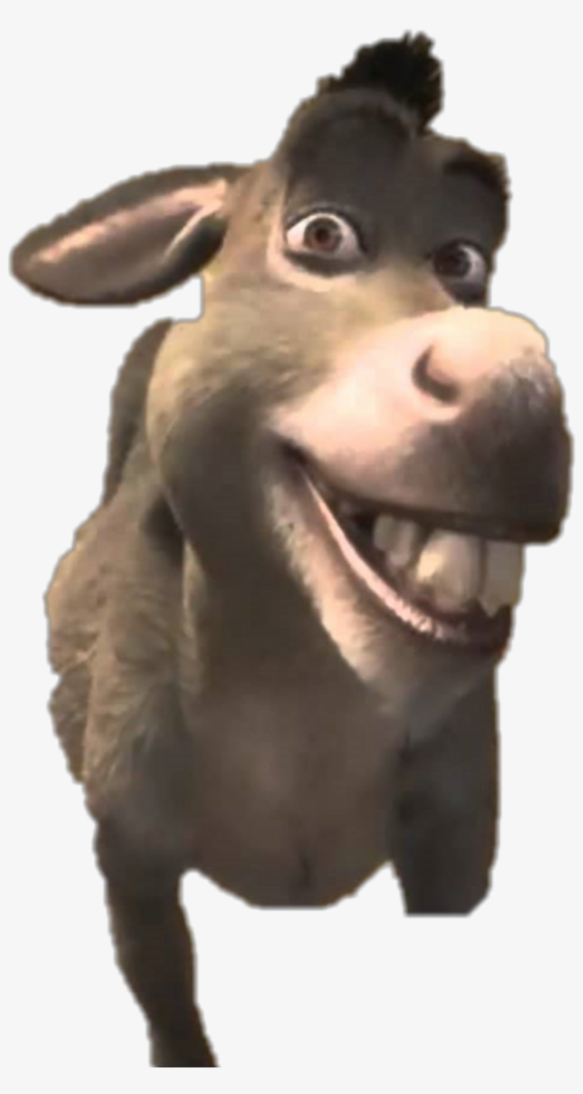 Detail Donkey Meme Shrek Nomer 36