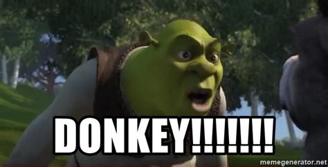 Detail Donkey Meme Shrek Nomer 54