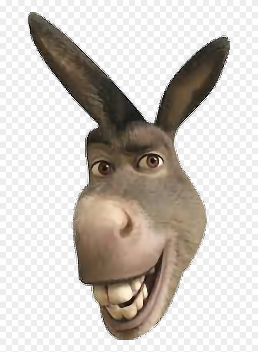 Detail Donkey Shrek Clipart Nomer 18