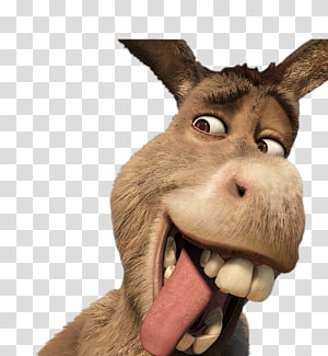 Detail Donkey Shrek Clipart Nomer 23