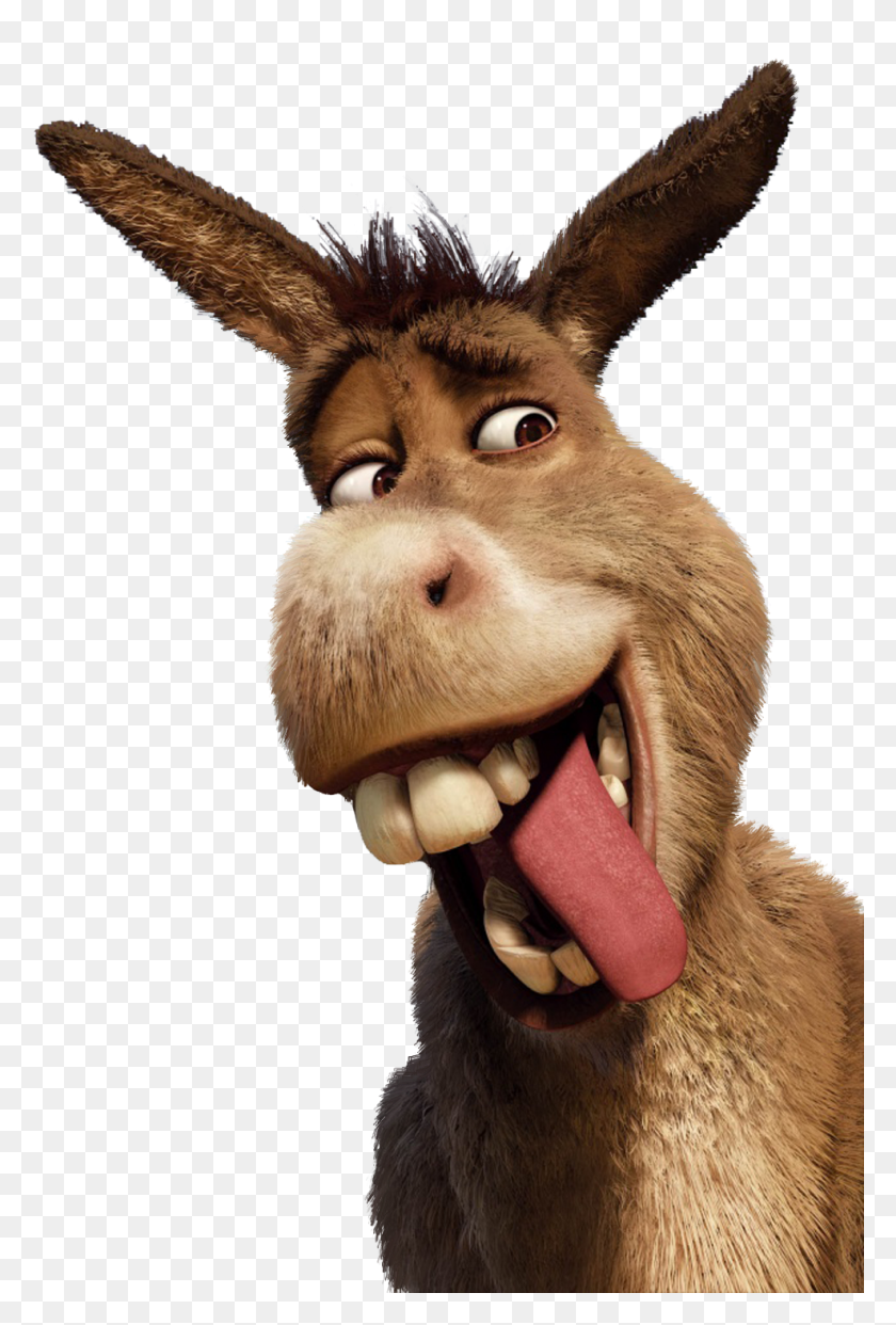 Detail Donkey Shrek Clipart Nomer 25