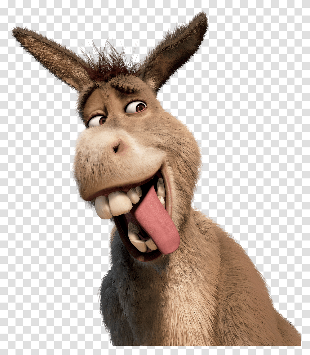 Detail Donkey Shrek Clipart Nomer 8