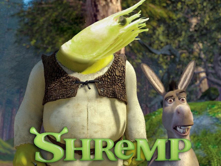 Detail Donkey Shrek Meme Nomer 25