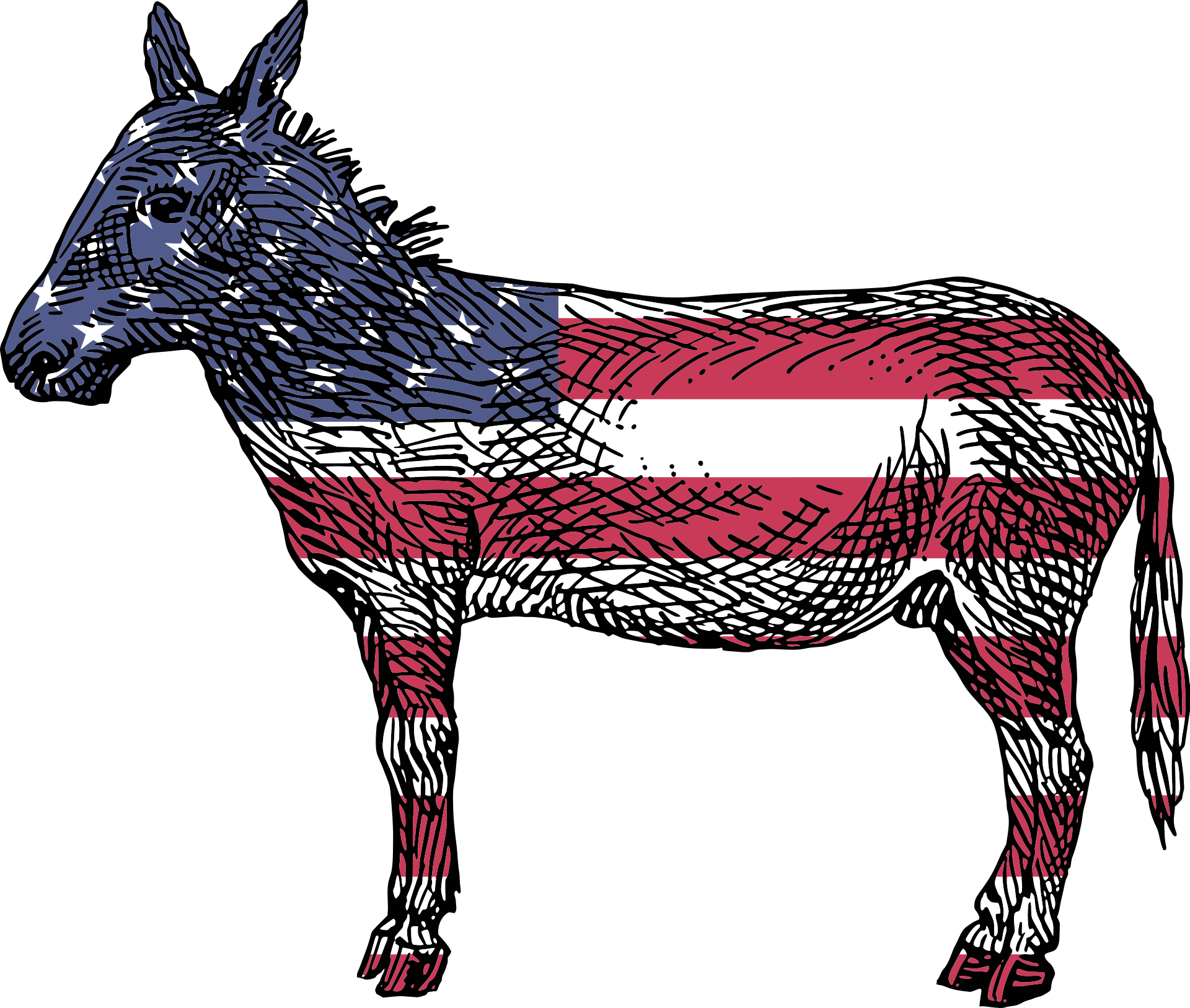 Detail Donkey Transparent Nomer 47