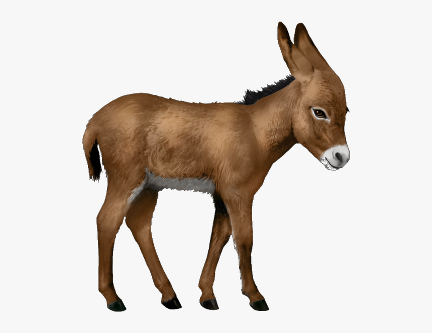 Detail Donkey Transparent Background Nomer 15