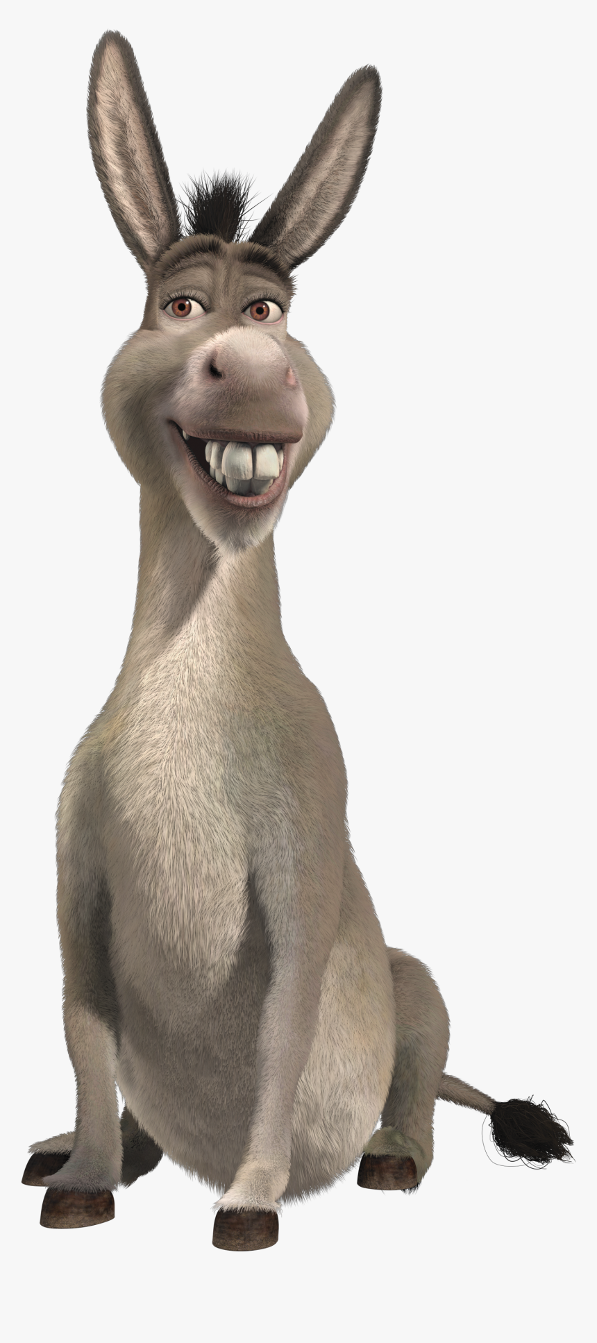 Detail Donkey Transparent Background Nomer 17