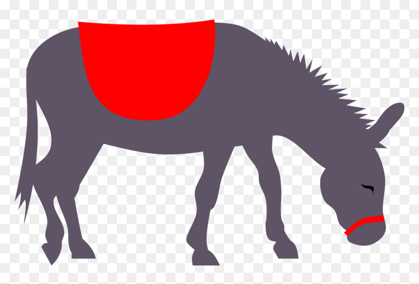 Detail Donkey Transparent Background Nomer 36
