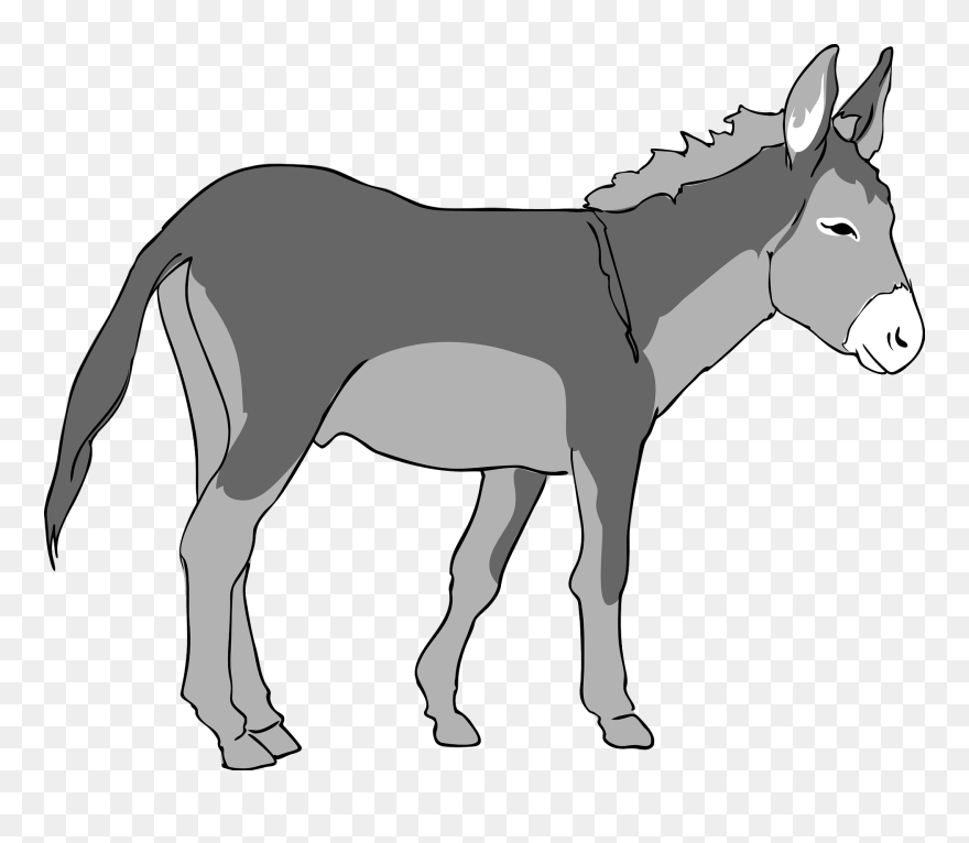 Detail Donkey Transparent Background Nomer 38