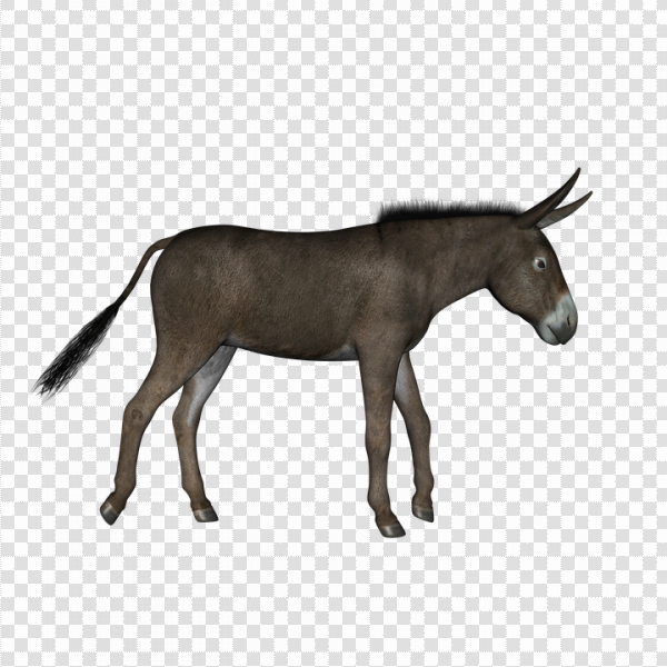 Detail Donkey Transparent Background Nomer 43