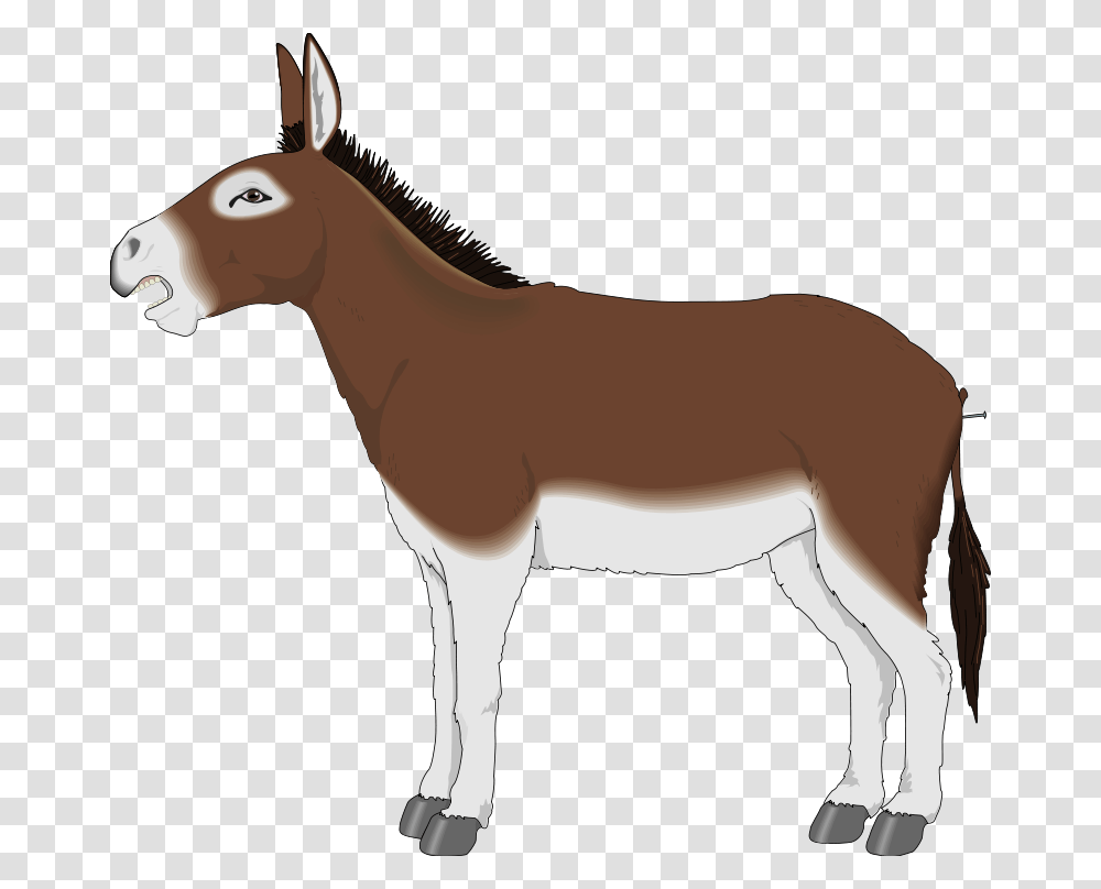 Detail Donkey Transparent Background Nomer 49
