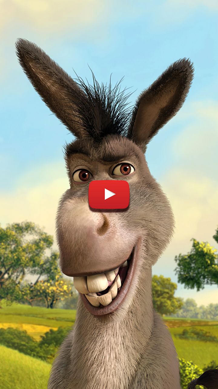 Detail Donkey Wallpapers Nomer 45