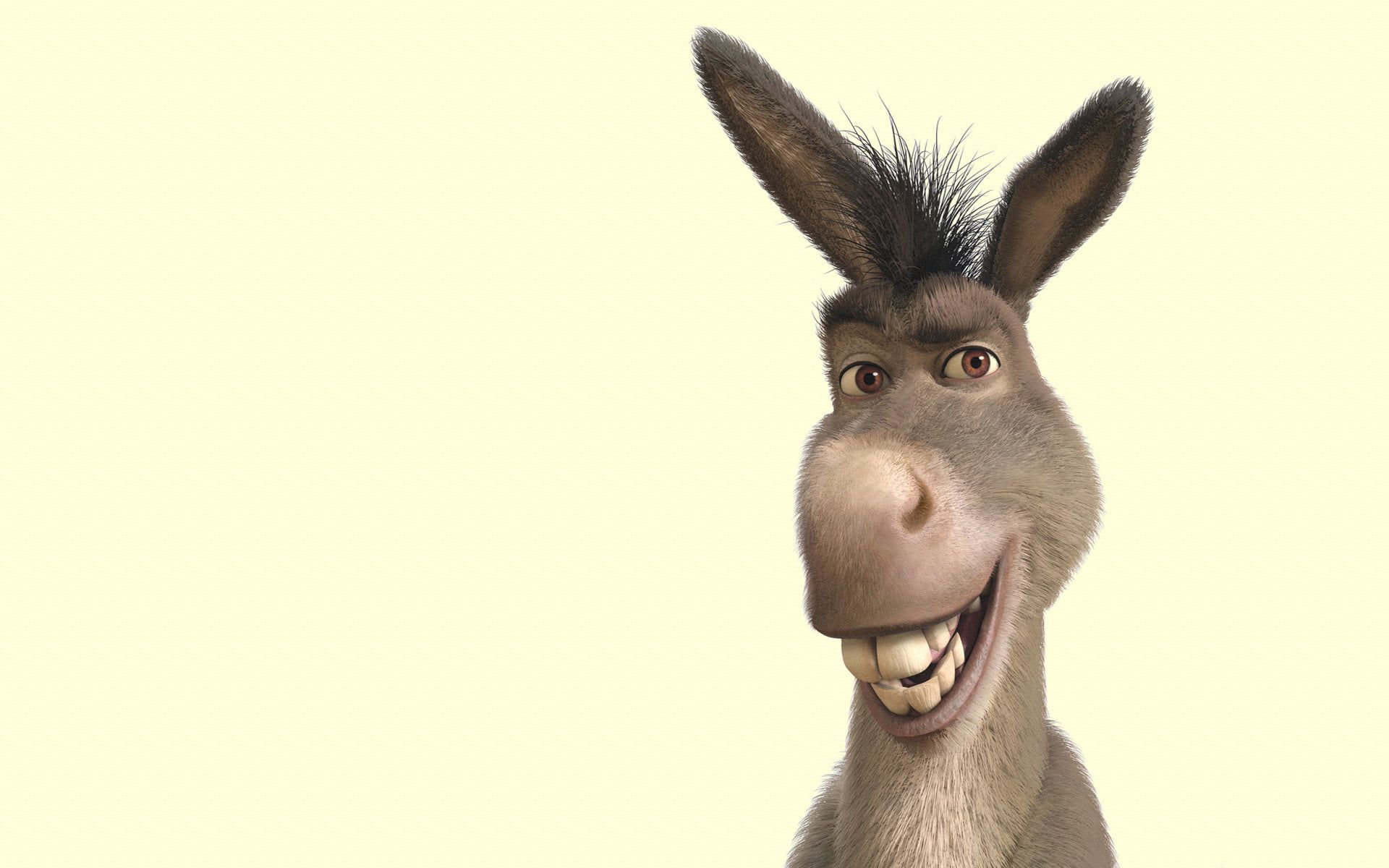 Detail Donkey Wallpapers Nomer 7