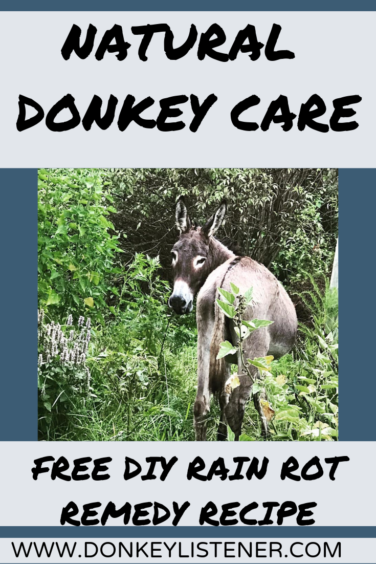 Detail Donkeys Pictures Free Nomer 59