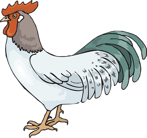 Detail Doodle Ayam Nomer 45