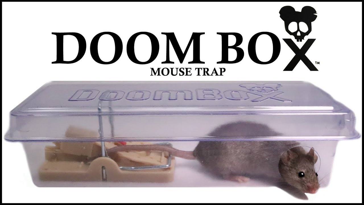 Detail Doom Box Mouse Trap Nomer 2