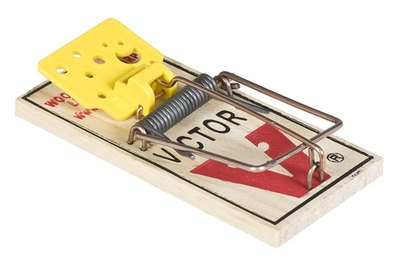 Detail Doom Box Mouse Trap Nomer 56