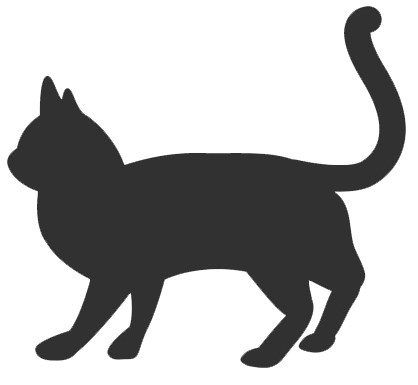 Katze Persisch - KibrisPDR