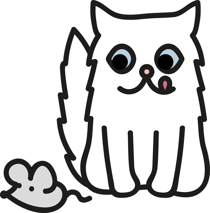Detail Katze Persisch Nomer 3