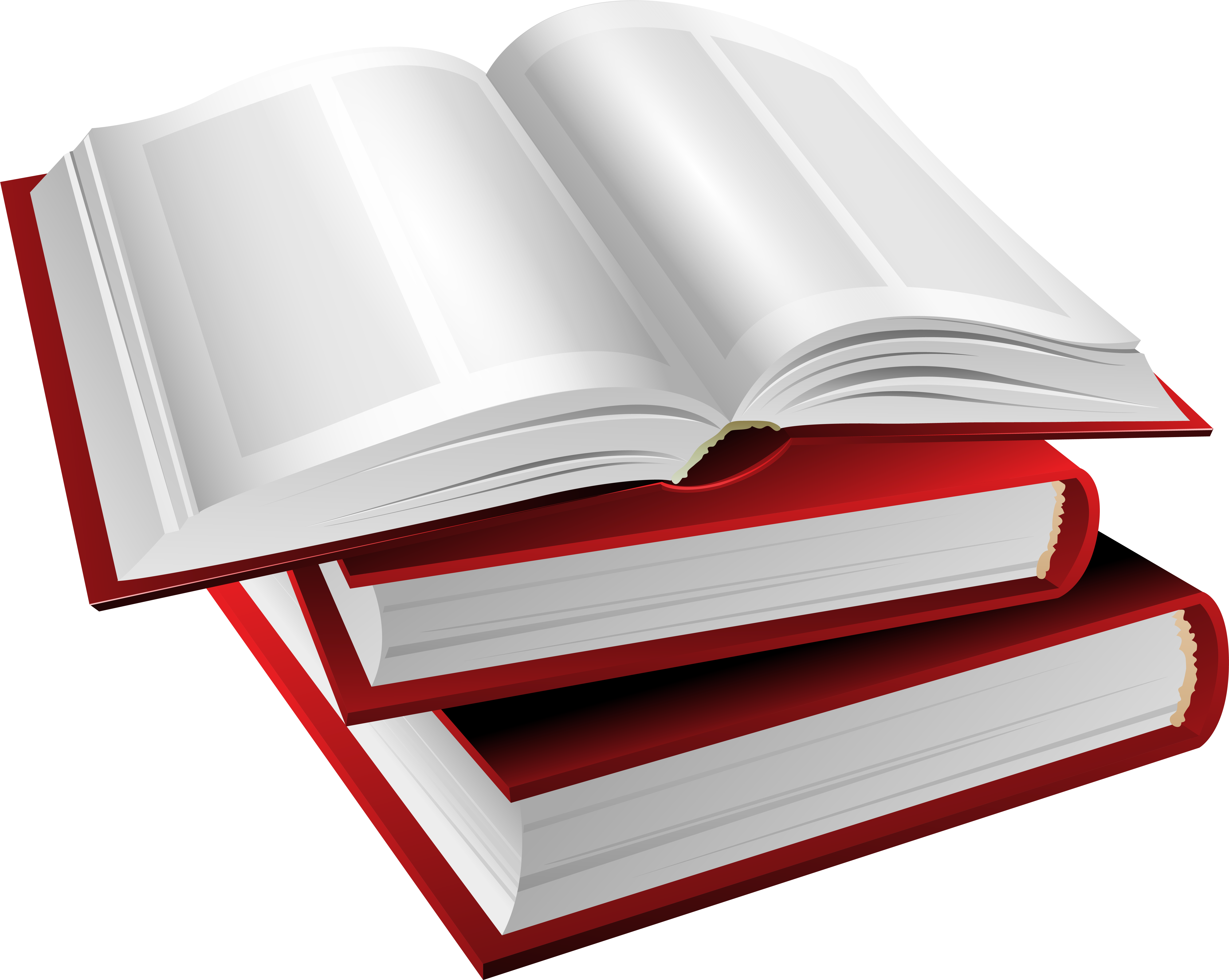 Detail Offenes Buch Nomer 4