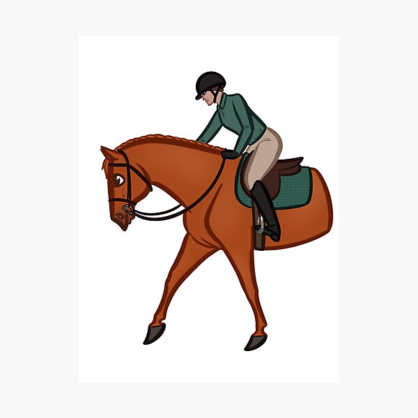 Detail Springreiten Englisch Nomer 8
