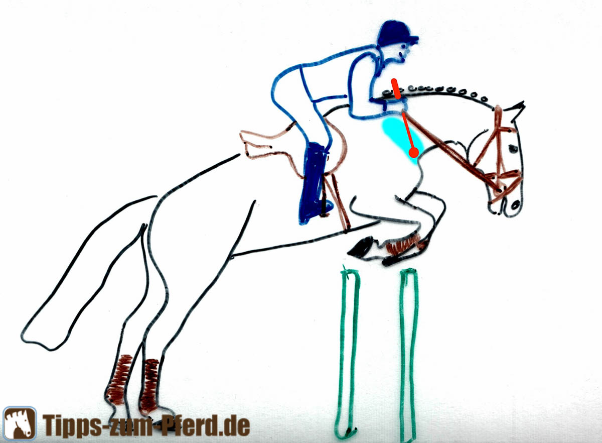 Detail Springreiten Englisch Nomer 10
