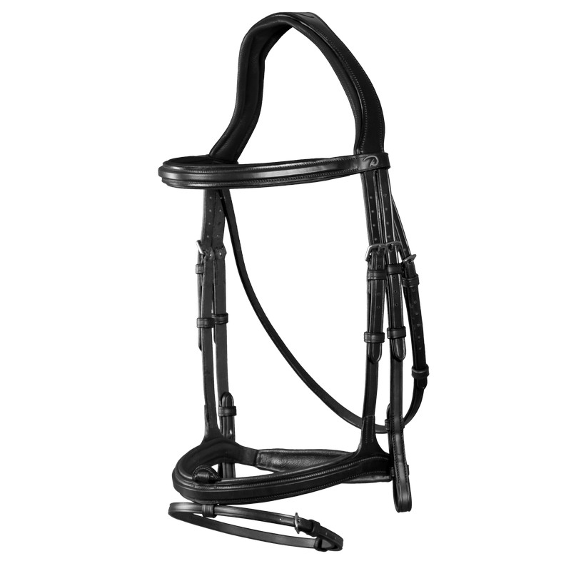 Detail Springreiten Englisch Nomer 18