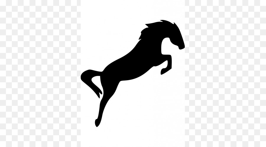 Detail Springreiten Englisch Nomer 6