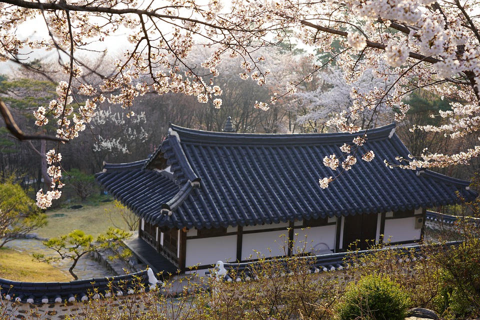 Detail Rumah Korea Tradisional Nomer 41